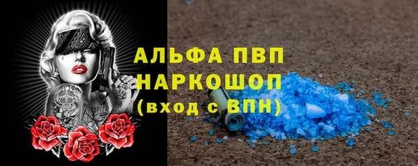 соль ск Волосово
