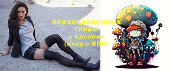 соль ск Волосово