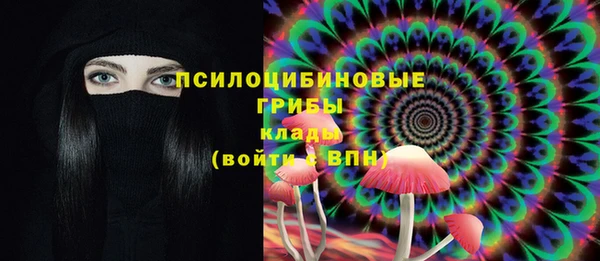 соль ск Волосово