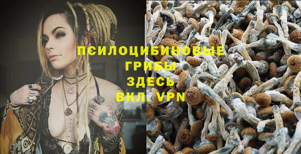 соль ск Волосово